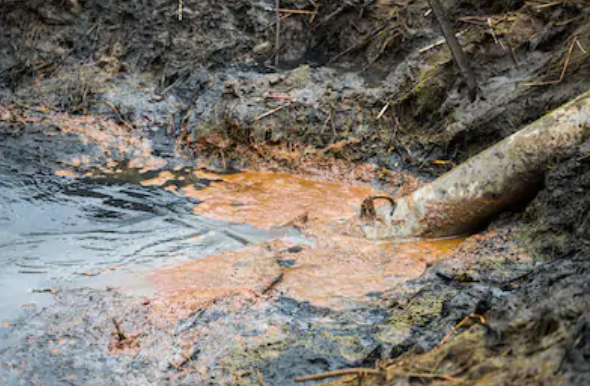 Sewage pipe